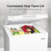 5.0 Cu. Ft. Chest Freezer Adjustable Thermostat Quick Freezing System Removable Basket LED Lights Low Noise Front Defrost Drain 5