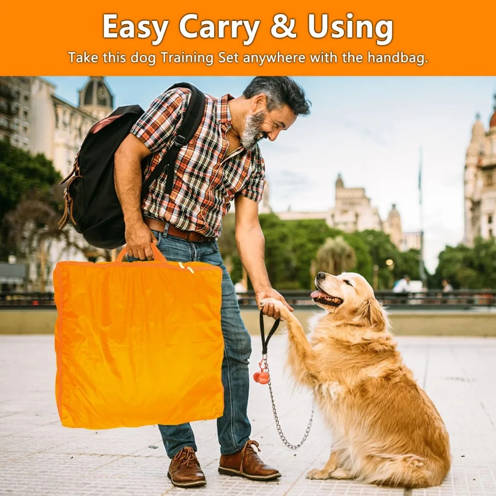 Dog Agility Training Set 5
