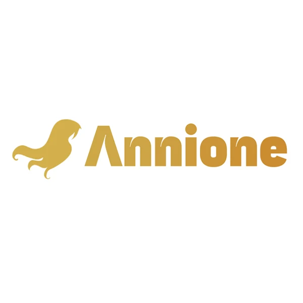 Annione Human Hair Store