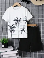 Summer  8-14  Year  Old  Boys  Hawaiian  Style  Sportswear  Breathable  And  Sweat  Absorbing  Short  Sleeved  Sports  Style Set