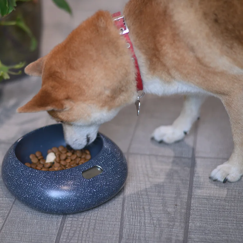 

Популярная миска для собак с защитой от протекания, многофункциональная столовая посуда из АБС-материала, 3 вида устройств для переключения, моющаяся кормушка для домашних животных