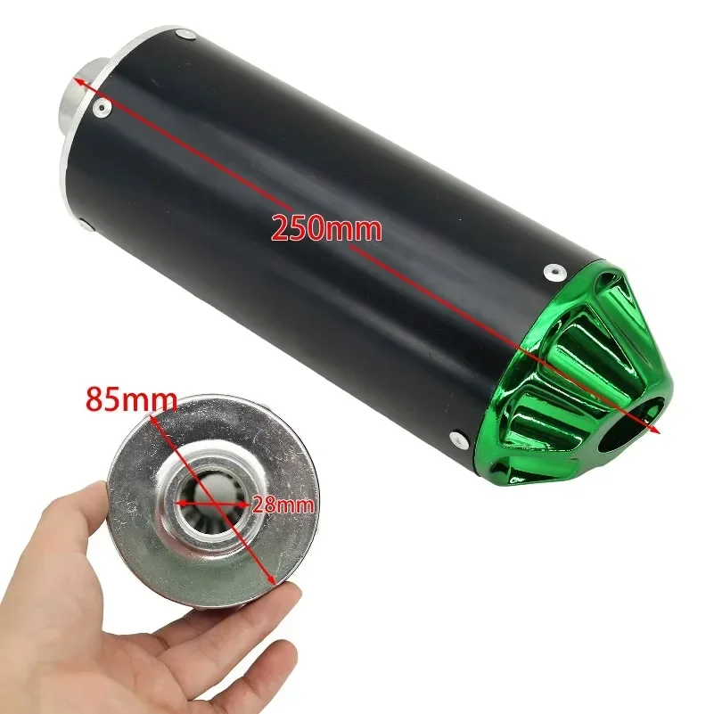 dsc-products
