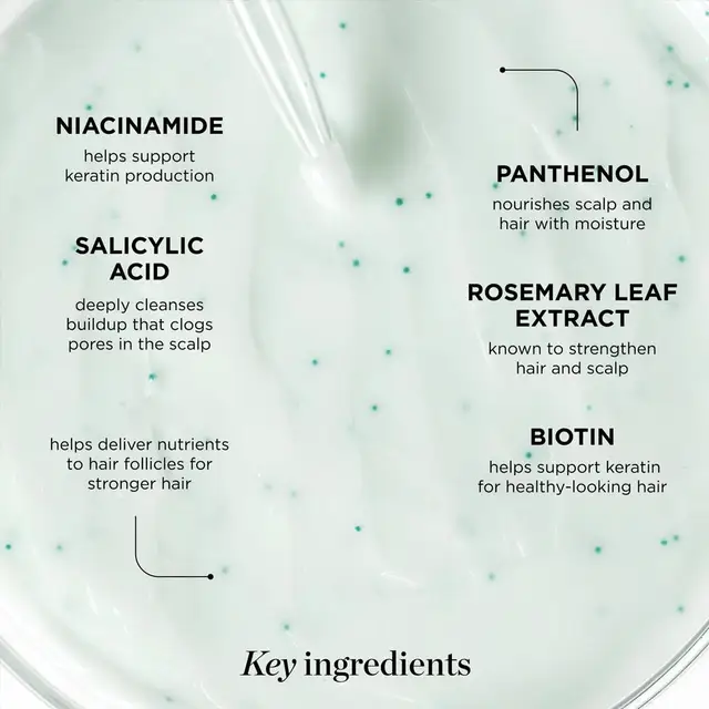 Dr.Groot Anti-Hair Loss Thickening Moisturizing & Smoothing Shampoo & Conditioner Remove Dandruff Oil Control Hair Care