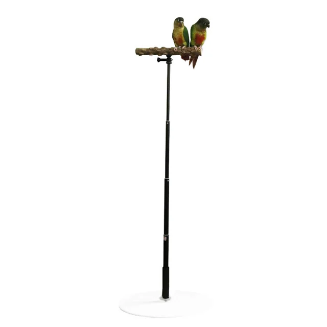 Papagaio Carrinho De Mesa De Madeira Suporte De Jogo De Mesa Para Pássaros  Ajustável Parrot Treinamento Carrinho Brinquedos Portátil Poleiro Retrátil  - Acessórios Para Pássaros - AliExpress