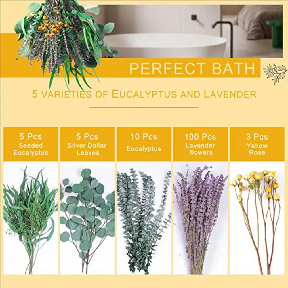 

Dried Eucalyptus Stem Multi-purpose Non-Withered Easy Care Living Room Decor Dried Eucalyptus Bundle Dried Flower