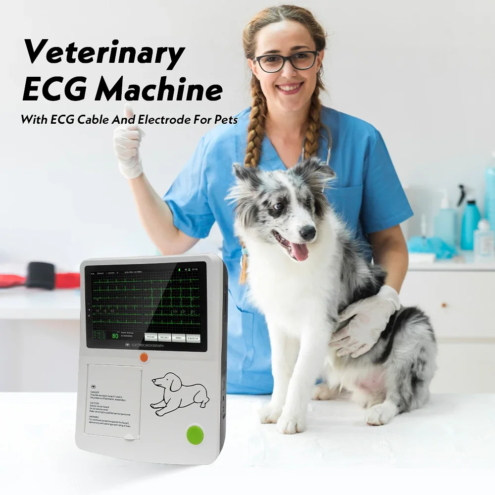 Veterinary ECG Machine 3/6channel Touch Screen Veterinary Electrocardiograph 7"