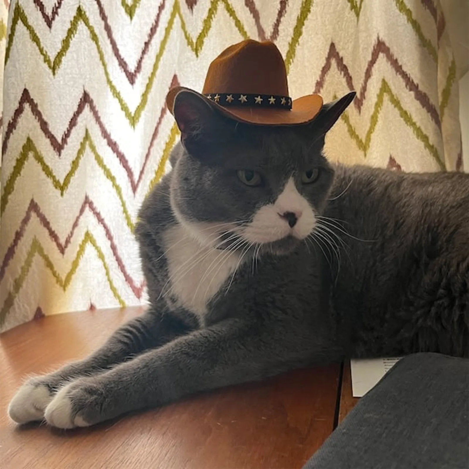 British Pet Dog Hat Star Cowboy Hat Pet Supplies Adjustable Dog Costume Top Hat Headwear Pet Hat Dogs Caps Pet Sun Hats For Cats