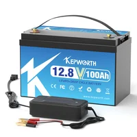 Batterie VeFePO4 avec BMS amélioré, alimentation au lithium, voiturette de golf, voitures tout-terrain, camping-cars, 12V, 50 Ah, 100 Ah, 120 Ah, 135 Ah, 180 Ah, 200 Ah, 300 Ah, nouveau 6