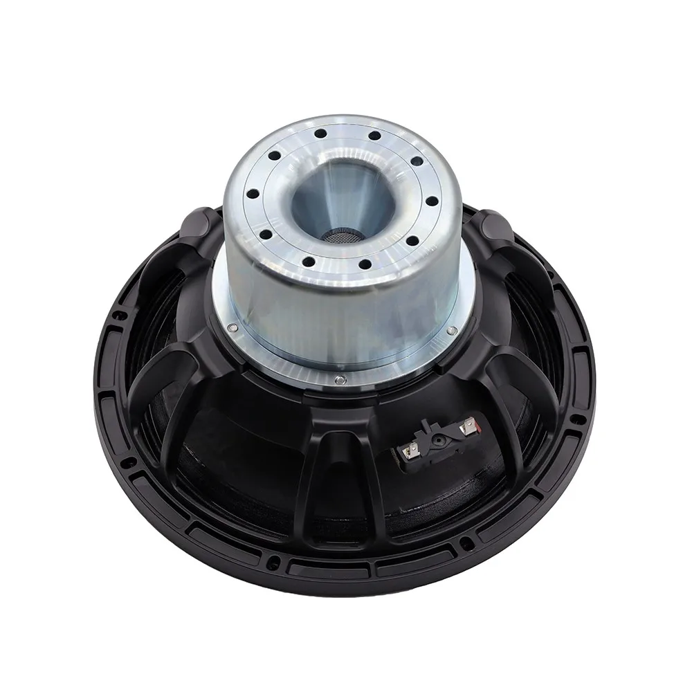 Hot Pro Sound 12 Inch Neodymium Subwoofer Speaker 2600W Big Bass For Car Bars Clubs Party