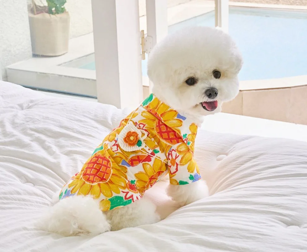 Luxury Dog Dress Bowknot Lace Summer Puppy Clothes Dog Skirts Cotton T Shirt Girls Costume Chihuahua