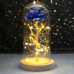 Enchanted LED Galaxy Rose in Glass Dome - Illuminated Gift (B33)