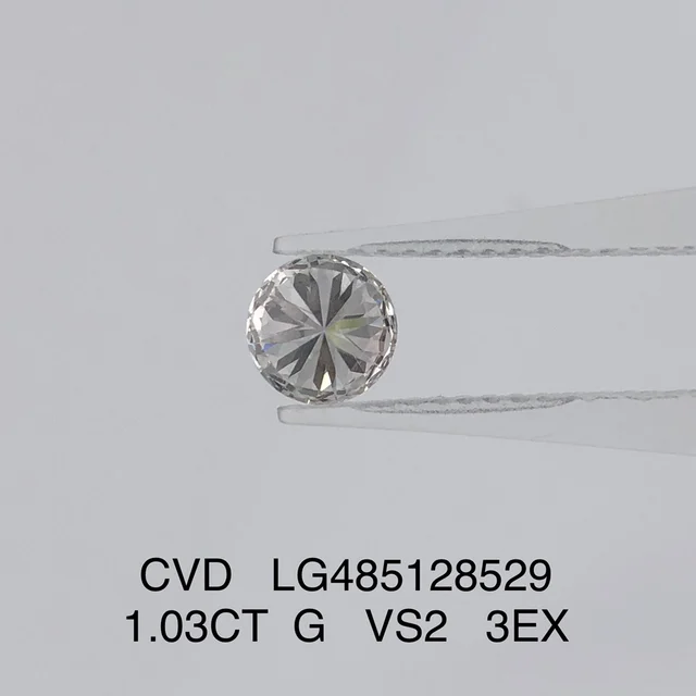 Sd17b709efc5f4a4992a75c0e10085 