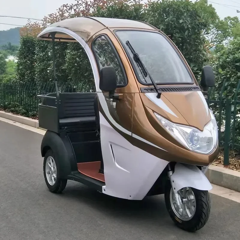 Three Wheel Electric Mini Scooter Tricycle with Roof for Adult Pink Max Black Green Silver Body Motor Acid Power Battery 3