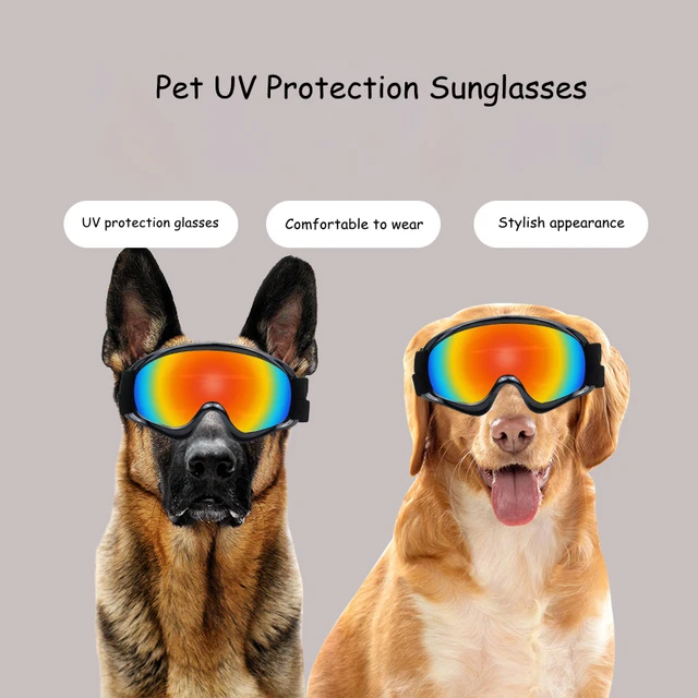 Dog UV Protection Glasses Sunglasses Dog Goggles Adjustable Strap Windproof  Dog Sunglasses Suitable For Medium-Large Pet Glasses - AliExpress