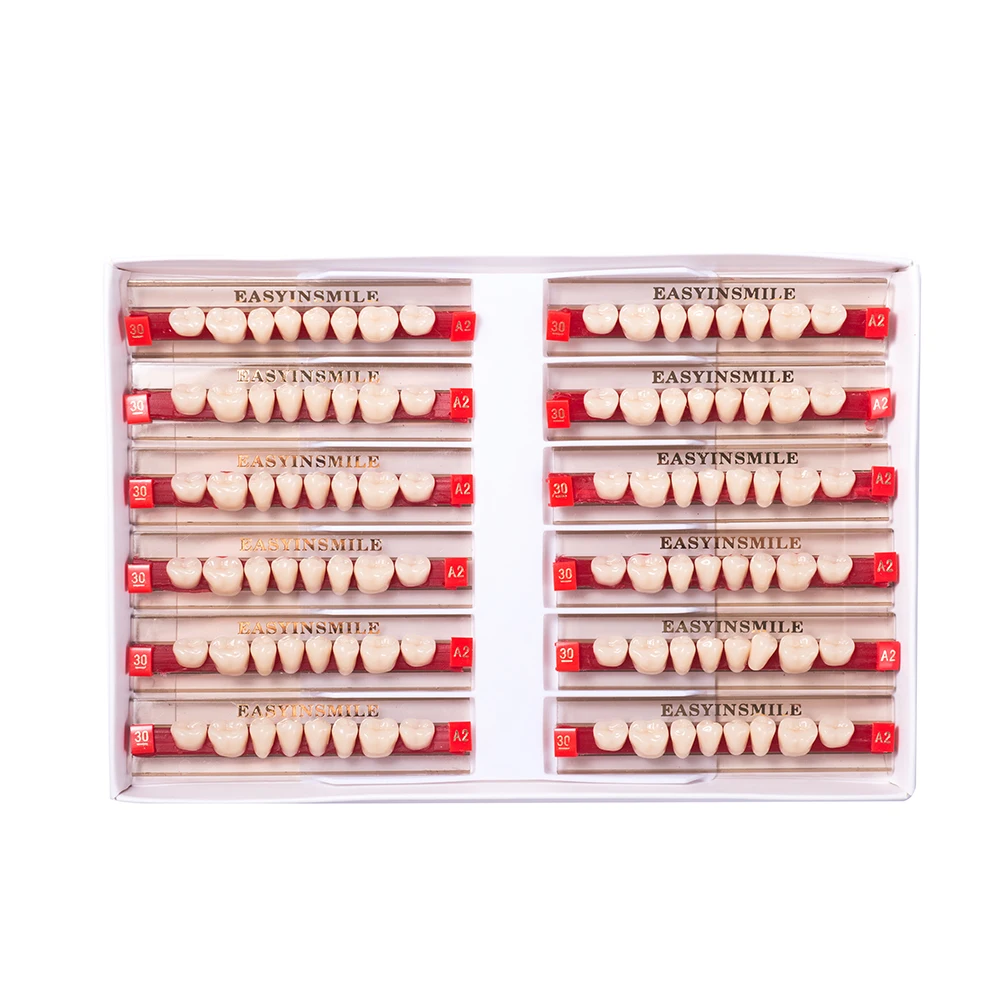 16/12 Sets/ Box Dental Denture Teeth Upper Anterior Lower Dentier Teeth A1 A2 A3 Synthetic Polymer Dental Education teeth Model 4