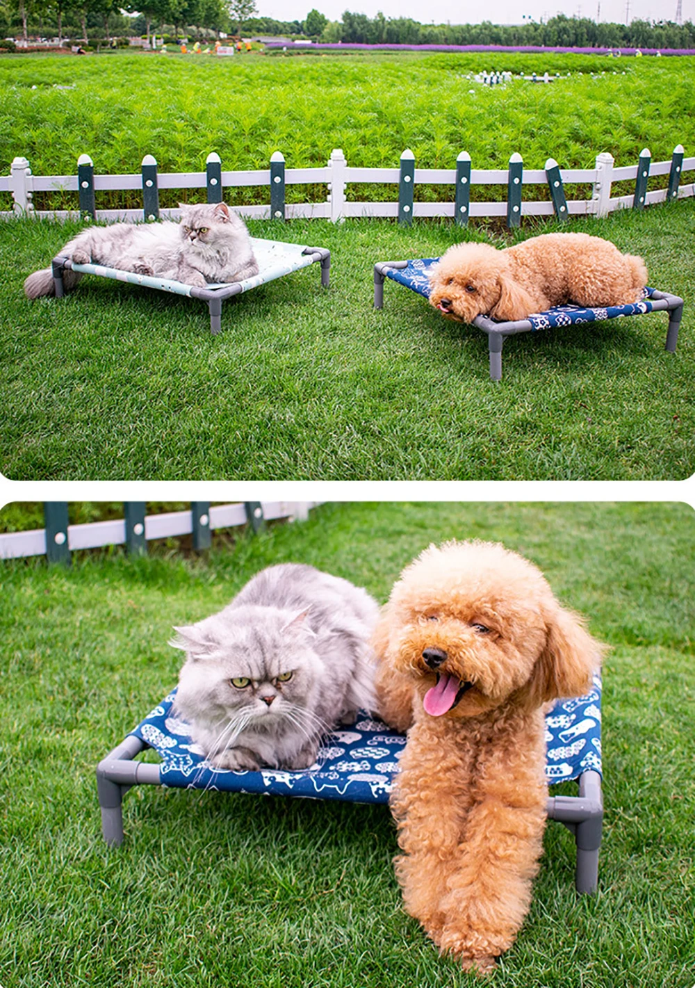 Title 10, Removable Dog Elevated Bed Folding Pet Camping ...