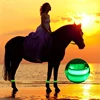 4pcs Equestrian Supply LED Luminous Horse Leg Straps Horse Riding Safety Warning Belts Night Visible Horses Legging Decoration 2