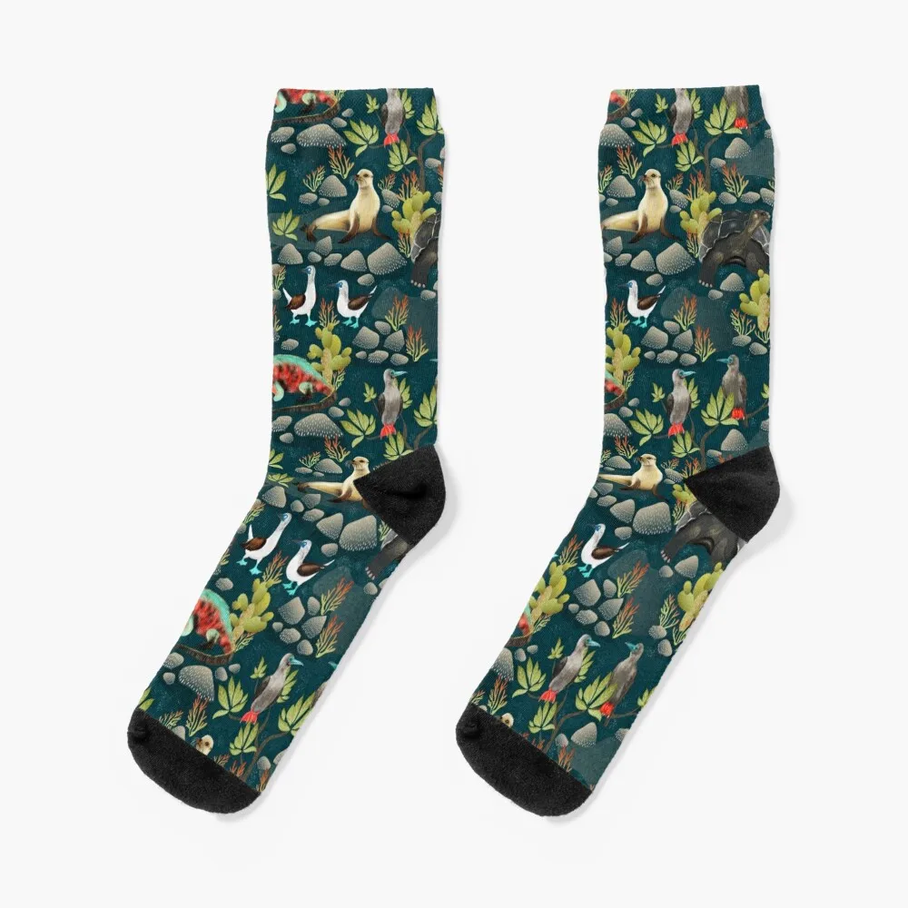 Galapagos Island Socks gym Crossfit retro Socks For Man Women's