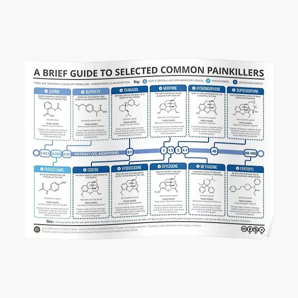 

Постер «Руководство по распространенным болеутоляющим методам», винтажная картина для дома, декор комнаты, настенное украшение, печать, забавная картина, современная картина без рамки