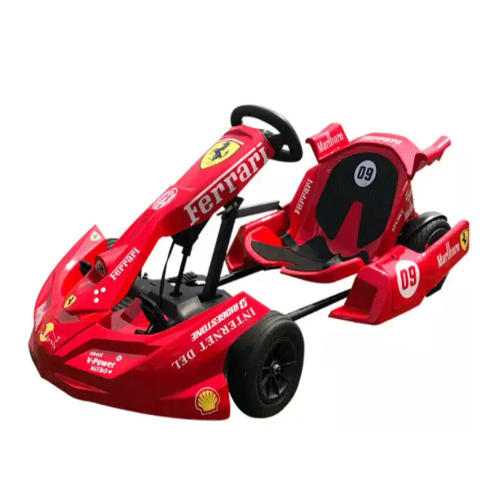2022 New Product Dual Motor Fast Speed Racing Karts Karts Adults