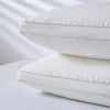 Sondeson Luxury 100% Goose Down Pillow Down-proof King Queen 100% Cotton Bedding 3D Style Rectangle Winter Bedding Pillows 1Pcs 5