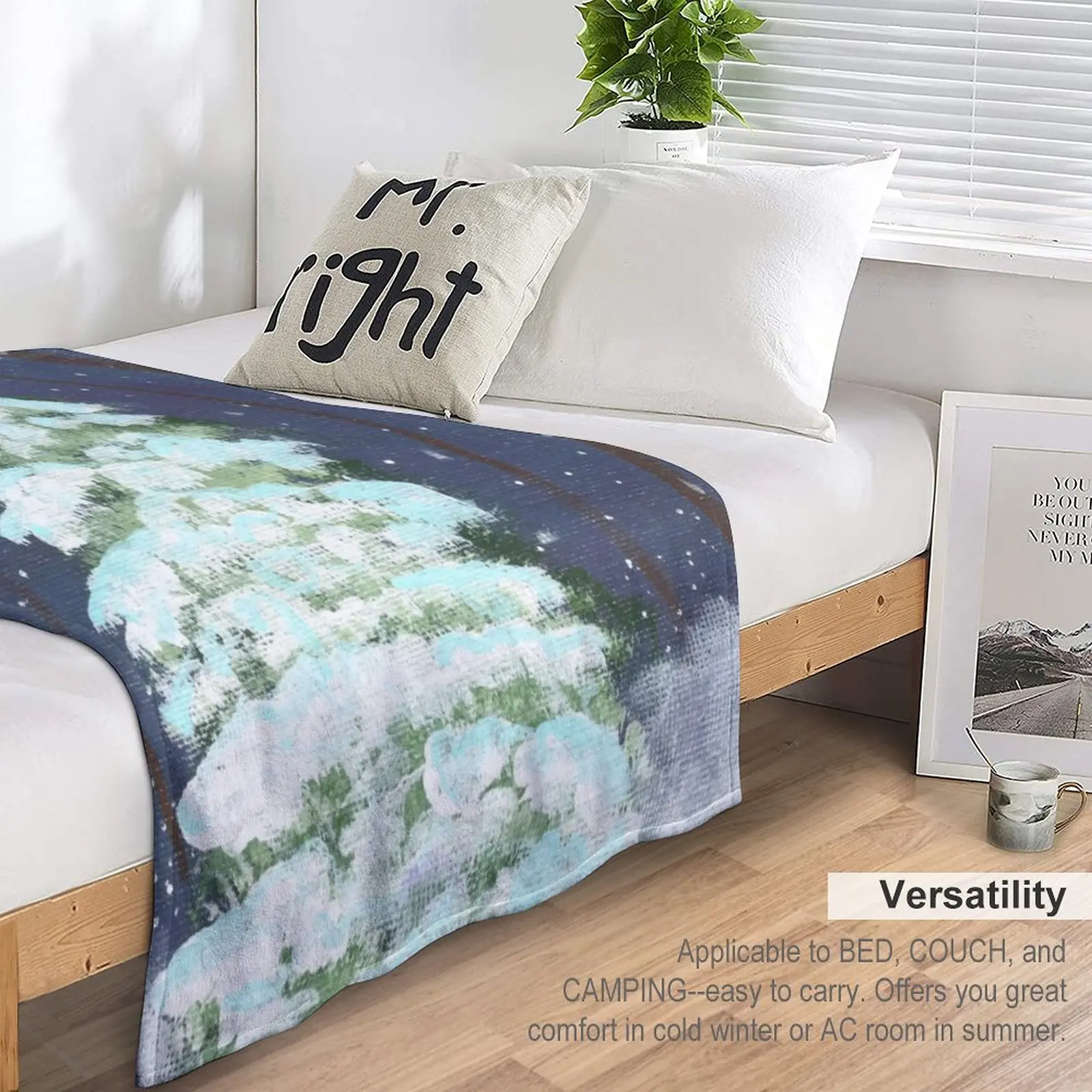 Tis The Season ������ ���, ���Ÿ� ����Ʈ ���, �ε巯�� ħ�� ���, �ε巯�� ū ���, �����̳� ���