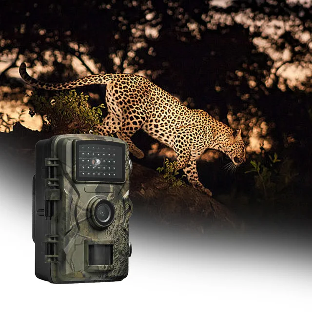 Motion-Activated Infrared Hunting Camera 5