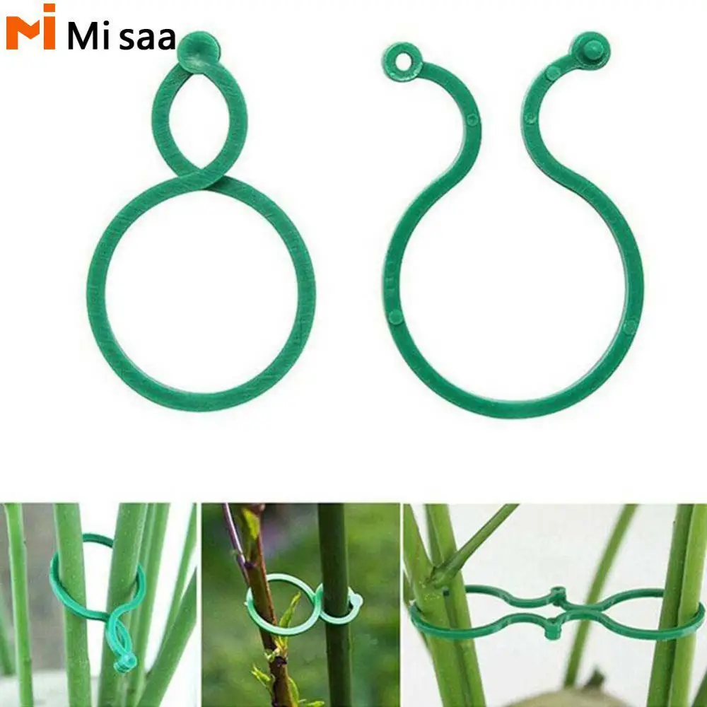 

Plant Wall Climbing Vine Clips Fastener Tied Plastic Plant Climbing Fixed Wall Self-adhesive Garden Decor Accessories 2023 New