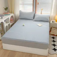 2025 new Class A solid color simple summer cool silk ice Doudou mat mattress fully enclosed and machine washable 2