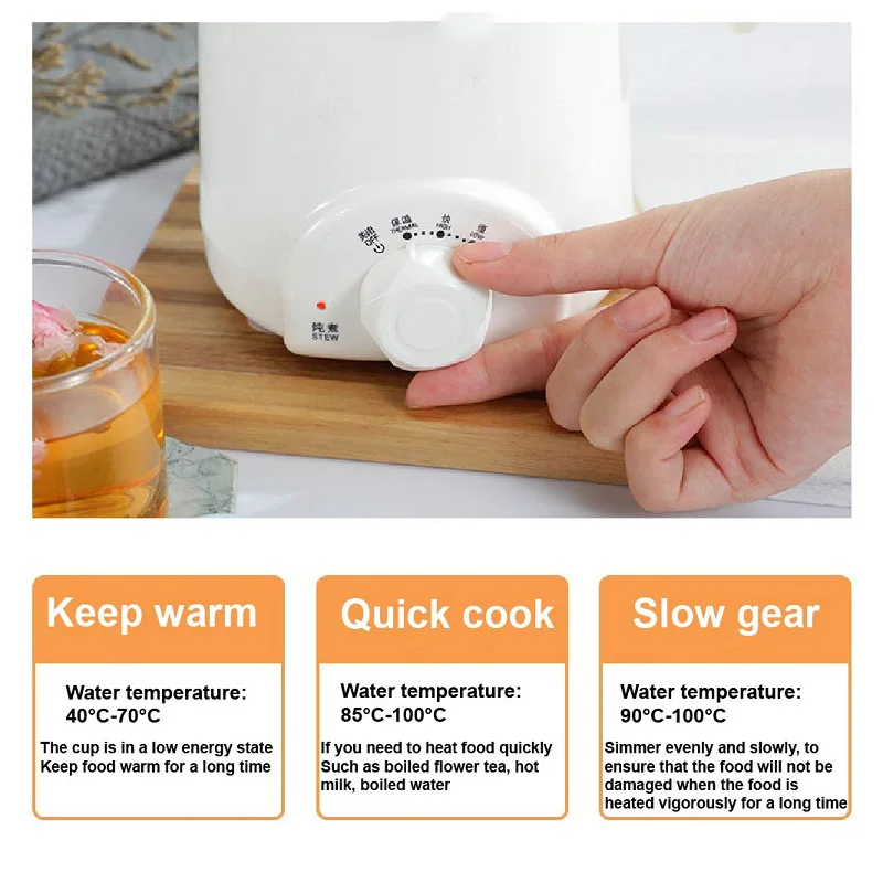 110V/220V Health Pot Office Porridge Cup Dormitory Mini Heat Water Cup Portable Bird's Nest Flower Tea Electric Stew Cup 500ML 3