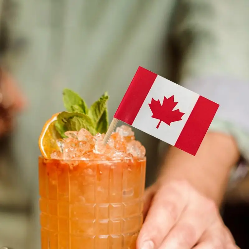 Canadian Cake Topper Canada Flag Toothpick Flags Small Mini Stick Cupcake Toppers Party Decoration Celebration Cake Flags