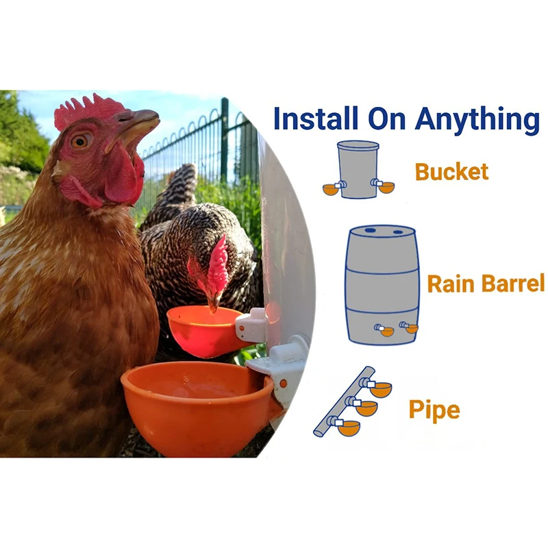 5 Pcs Chicken Drinker Automatic Poultry Drinker Bowls For Birds Poultry poultry drinking cups poultry water dispenser animal drinking bowl poultry waterer