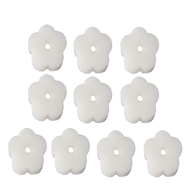 10Pcs