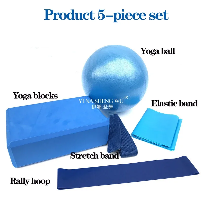 Yoga Starter Kit 5pc Set Yoga Equipment Set With Blocks Ball Stretching Strap Resistance Loop Pilates Exercise Band Home Fitness