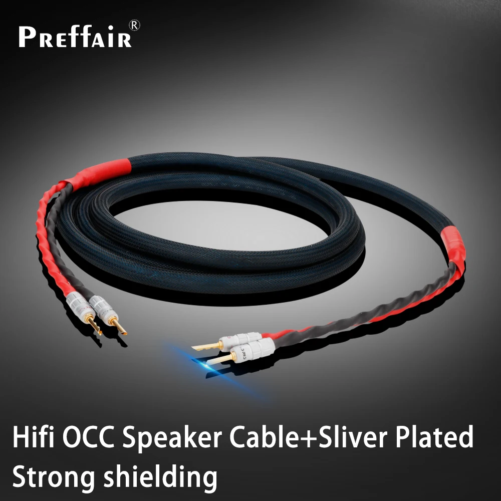 1 Paio L301 6N Occ Silver-Plate Hifi Audio Speaker Cable Cmc Placcato Oro Banana Plug Altoparlante Stereo Amplificatore Per Cavi Home Cinema