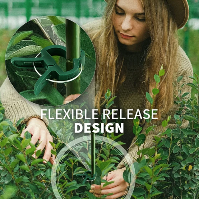 Növényi Klipek Oltó Tétek Csatlakozói Klip Újrahasznosítható Növény Rögzített Zárójele A Kertészeti Zöldségek Szárának Támogatásához - Image 4