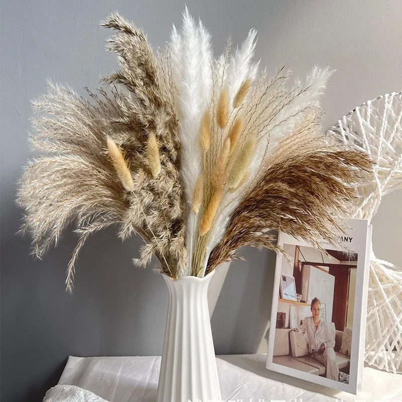 80 Natural Pampas Reed Dry Flowers Combination Home Soft Decoration Living Room Fireplace Decoration Wedding Party