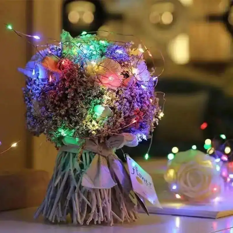 Festive Battery-Powered LED Fairy Lights for Holiday and Party Decor