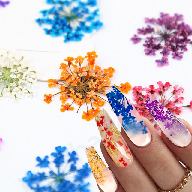 Discover 148+ dried pressed flowers for nails latest songngunhatanh