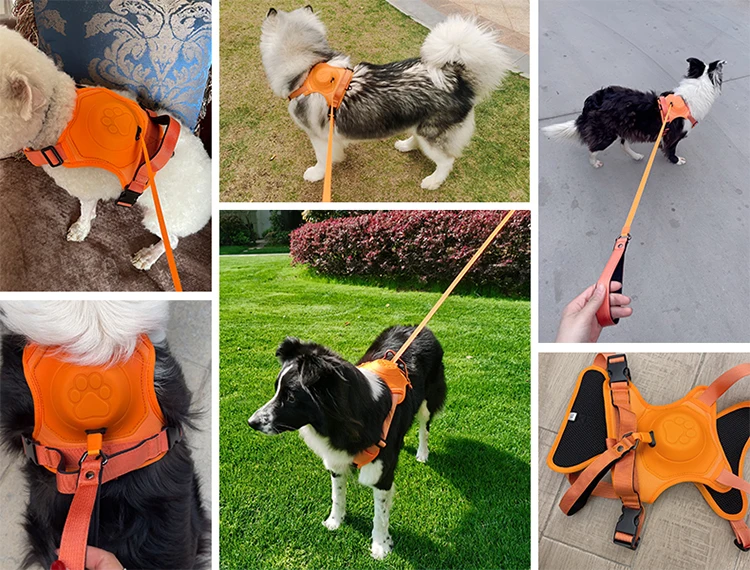 No Pull Dog Harness With Retractable Leash - The Ultimate All-In-One Solution for Your Dog 41 Sd1a6c0c4c786478b8600f2ed71bd4a2d3