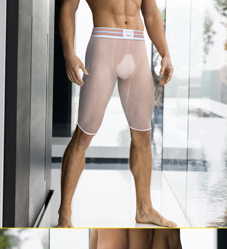 1/2/3PCS Men's Ice Silk Boxers Transparent Boxers 0.01 Ultra-thin Fabric See Through Underpants Seamless Underwear Boxer Shorts_voghion.com