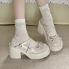 Women's Chunky Heel Mary Janes Shoes Spring Round Toe Pumps Platform Shoes for Women Dress Students Women's Lolita Heeled Shoes