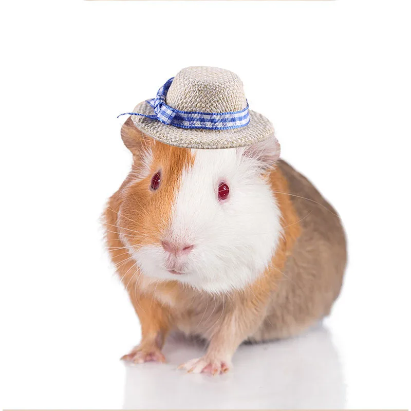 PARKER Miniature pet hats chickens ducks geese birds lizard, golden bears hamsters funny performance props multi-color optional