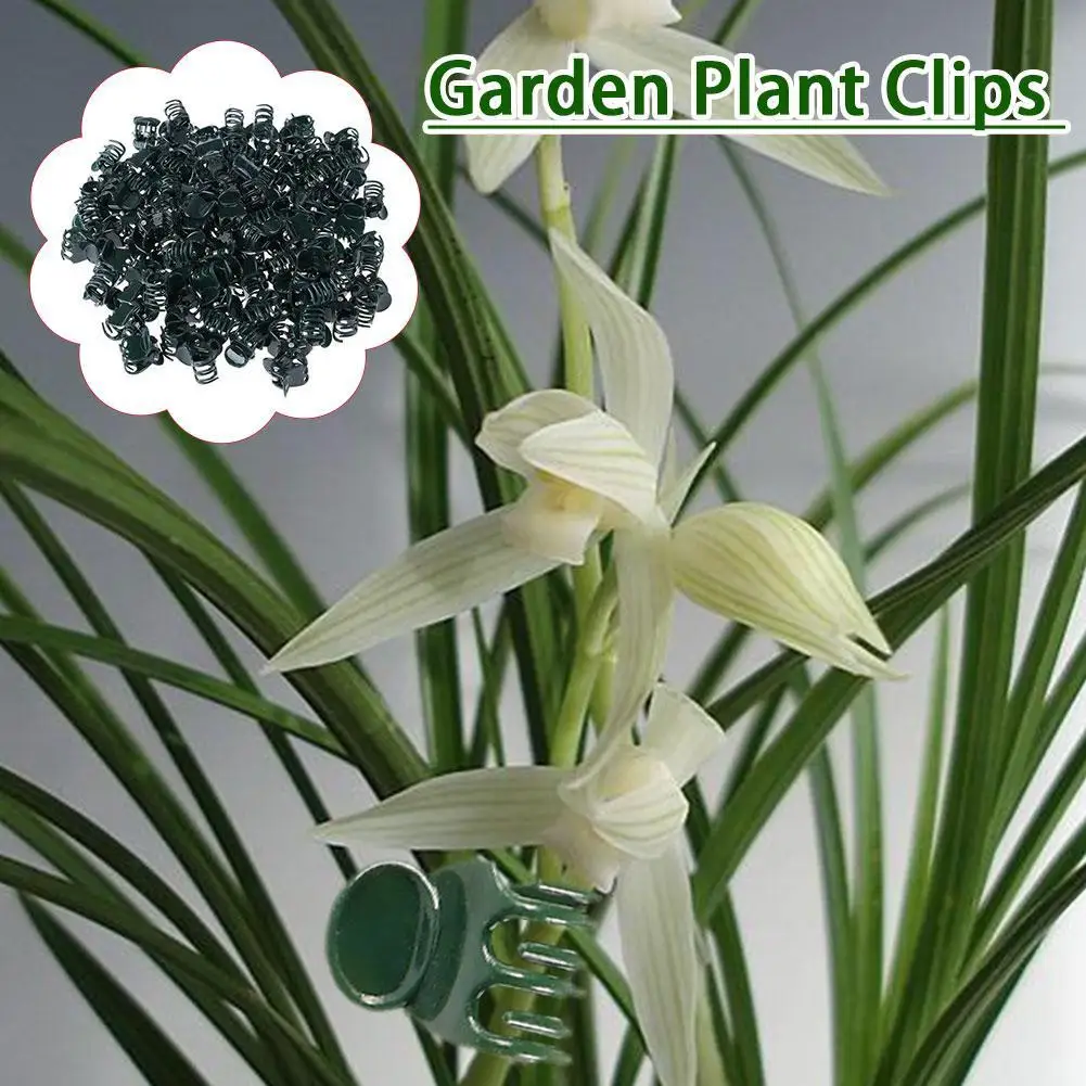Plant Climbing Wall Butterfly Clips Vine Buckle Hook Garden Support Clamp Flower Plant Rattan Branch Grow
