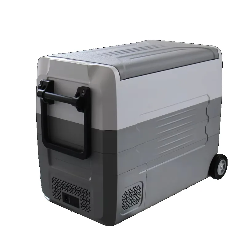35L/45L/55L Car Refrigerator Mini Fridge Small Freezer 12V Compressor Portable Cooler 220V 12v Car Mini Portable Refrigerator