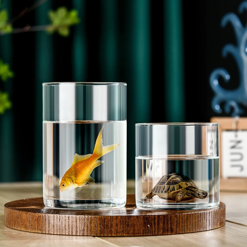 Modern Clear Glass Flower Vase Glass Cylinders Vase Florals Container Flower Vase Elegant Home Table Centerpieces Decoration 5