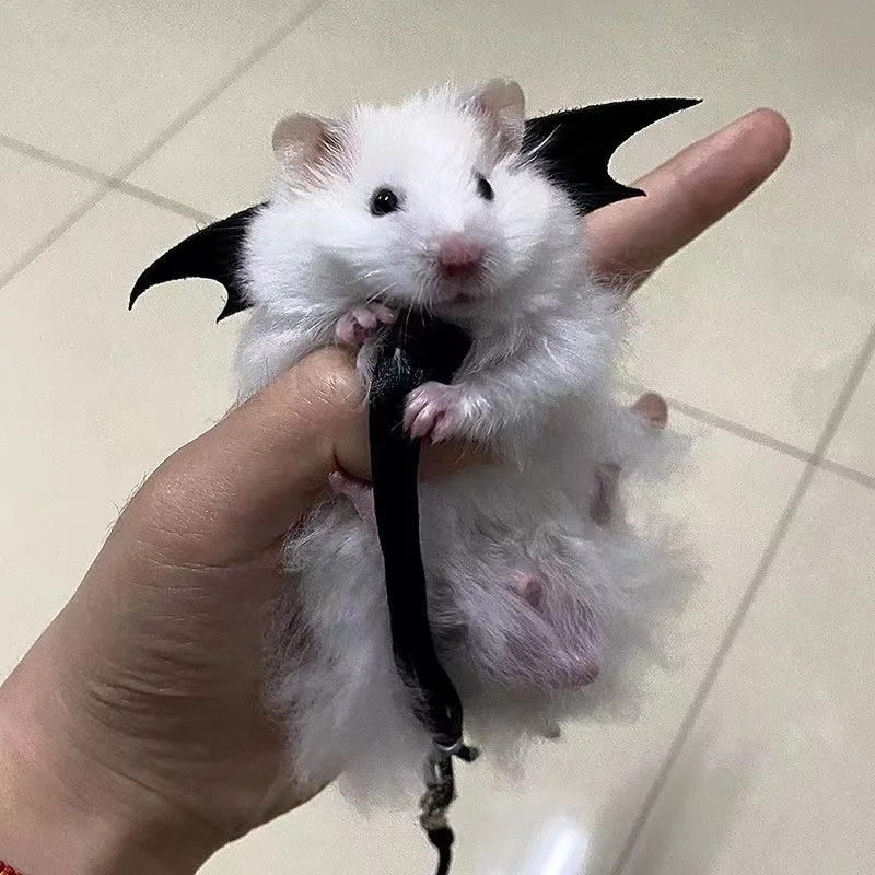 adjustable hamster harness shown from above