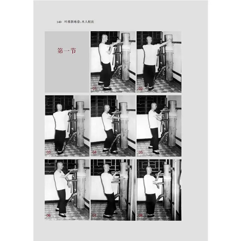 Рисунок 2 - Книга китайского кунг-фу