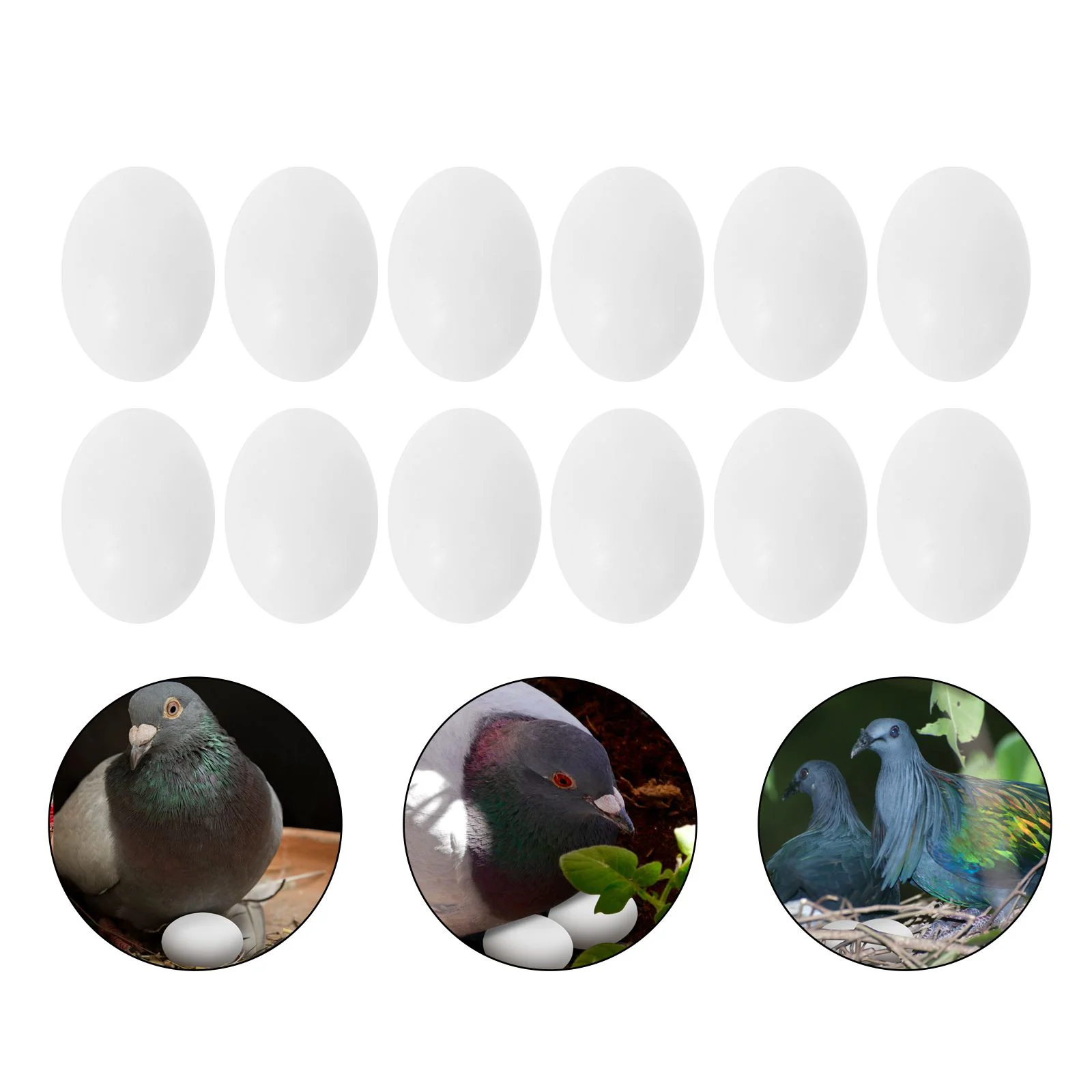 

30Pcs Parrot Eggs Hatching Eggs Realistic Eggs Replacement for Trick The Birds to Stop Laying Eggs Painting Craft