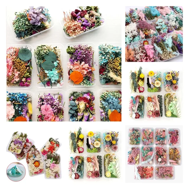 NEW 1 Box Mix Flower Pressed Dried Dry Leaves Plants For Nail Art Decors Jewelry Making DIY Accessories Random More Than 7Style